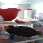 Холодильник з м’якими сирами та продуктами, які варто викинути одразу