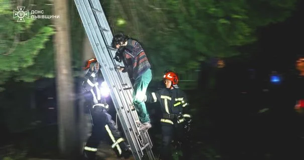 Спасатели ГСЧС снимают женщину с дерева лестницей ночью во Львове